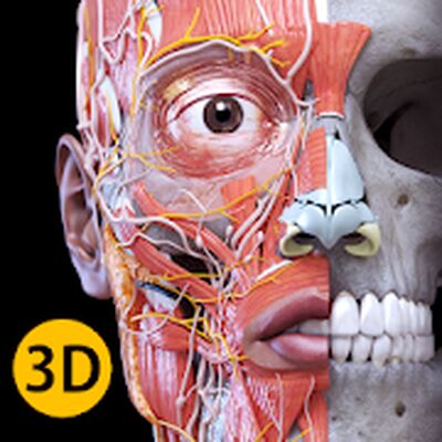 Download Anatomy 3D Atlas (Pro Version MOD) for Android