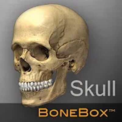 Download BoneBox™ (Premium MOD) for Android