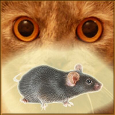 Download Mouse on the Screen for a Cat (Unlimited Coins MOD) for Android