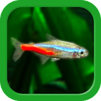 Download Tropical Fish Tank (Unlimited Coins MOD) for Android