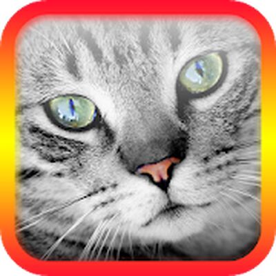 Translator for Cats Prank