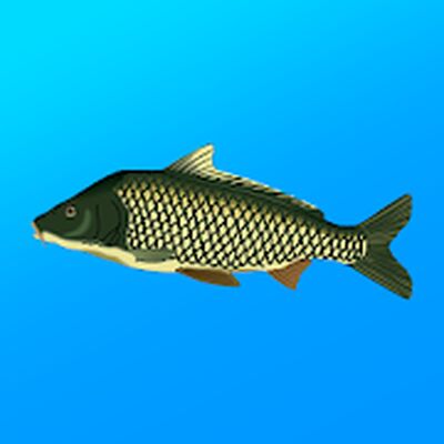 Download True Fishing. Fishing simulator (Unlocked All MOD) for Android