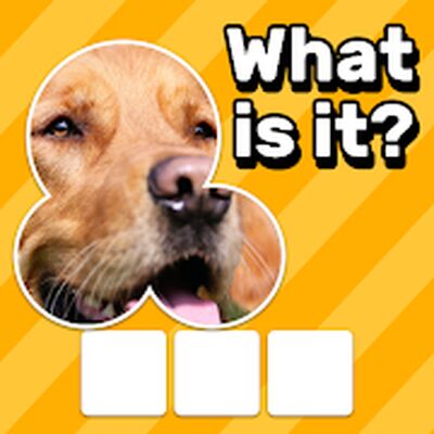 Download Zoom Quiz: Close Up Pics Game (Unlimited Money MOD) for Android