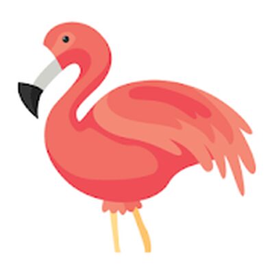 Download Flamingo Animator (Premium MOD) for Android