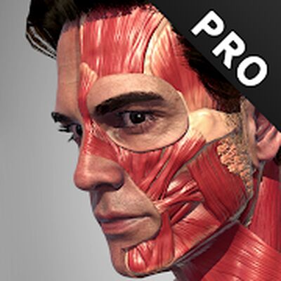 Action Anatomy Pro