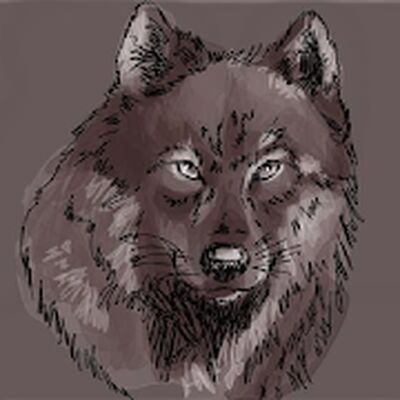 Download How to draw a wolf step by step (Unlocked MOD) for Android