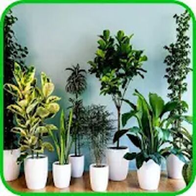 Download Indoor Plants (Premium MOD) for Android