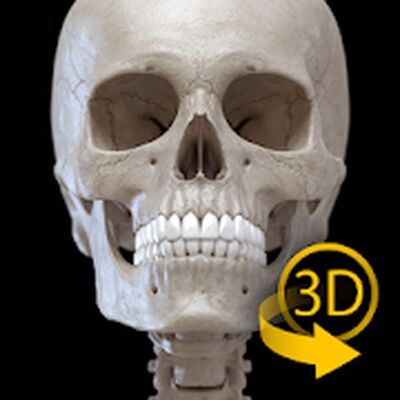 Download Skeleton | 3D Anatomy (Unlocked MOD) for Android