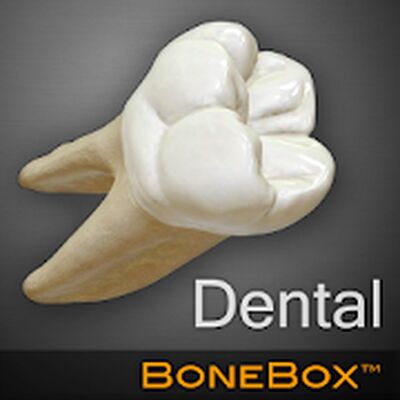 Download BoneBox™ (Unlocked MOD) for Android