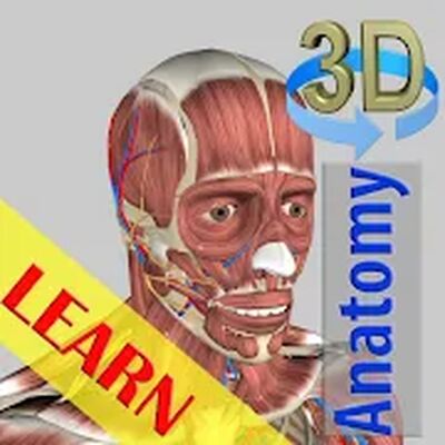 Download 3D Bones and Organs (Anatomy) (Pro Version MOD) for Android