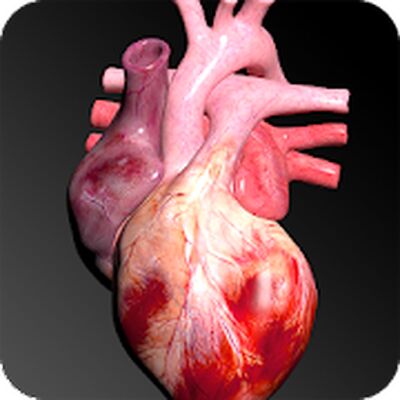 Download Circulatory System in 3D (Anatomy) (Premium MOD) for Android