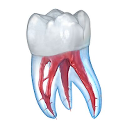 Download Dental 3D Illustrations for patient education (Free Ad MOD) for Android