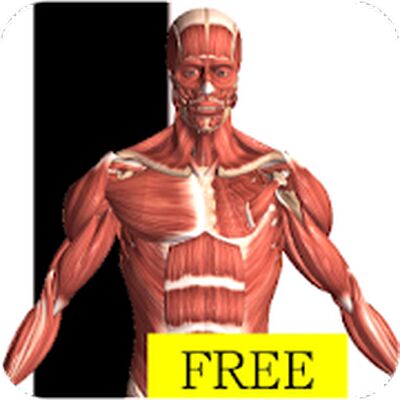 Download Visual Anatomy Free (Pro Version MOD) for Android