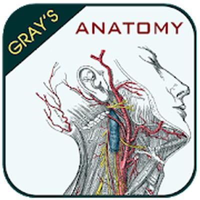 Download Gray's Anatomy (Premium MOD) for Android