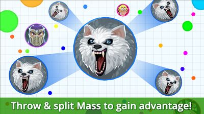 Download Agar.io (Premium Unlocked MOD) for Android