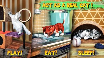 Download Cat Simulator (Free Shopping MOD) for Android