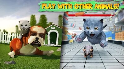 Download Cat Simulator (Free Shopping MOD) for Android