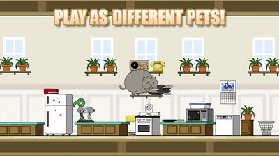 Download Clumsy Cat (Unlocked All MOD) for Android