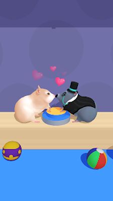 Download Hamster Maze (Unlocked All MOD) for Android