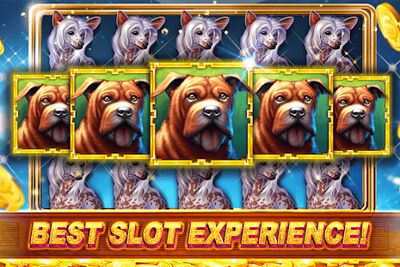 Download Slots Casino Royale: Jackpot (Premium Unlocked MOD) for Android