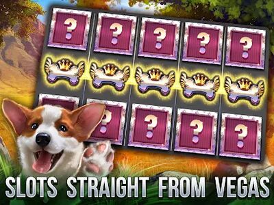 Download Cats Slot Machines (Unlimited Money MOD) for Android