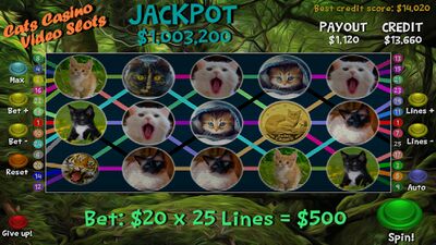 Download Cats Casino Video Slots (Unlocked All MOD) for Android