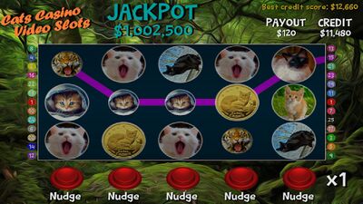 Download Cats Casino Video Slots (Unlocked All MOD) for Android