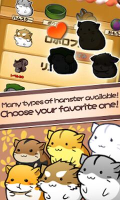 Download Hamster Life (Unlocked All MOD) for Android