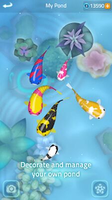 Download Zen Koi 2 (Unlimited Money MOD) for Android