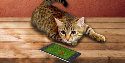 Download Cat laser sounds! (Unlimited Money MOD) for Android