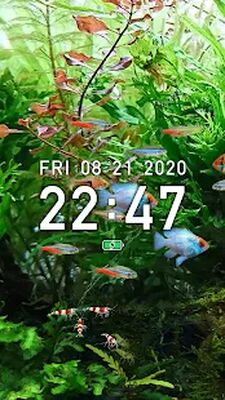 Download Tropical Fish Tank (Unlimited Coins MOD) for Android