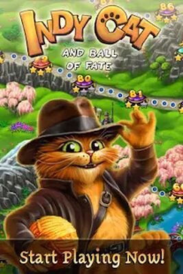 Download Indy Cat for VK (Free Shopping MOD) for Android