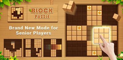 Download Wood Block Puzzle (Unlimited Money MOD) for Android