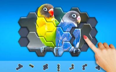 Download Hexa Jigsaw Puzzle ® (Premium Unlocked MOD) for Android