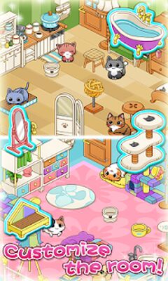 Download Cat Room (Premium Unlocked MOD) for Android