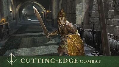 Download The Elder Scrolls: Blades (Unlocked All MOD) for Android
