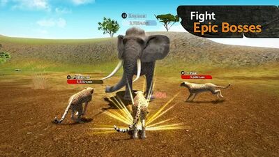 Download The Cheetah (Premium Unlocked MOD) for Android