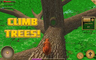 Download Squirrel Simulator (Unlimited Money MOD) for Android