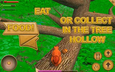 Download Squirrel Simulator (Unlimited Money MOD) for Android