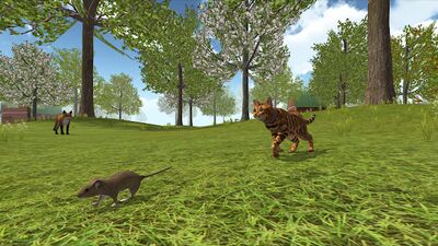 Download Cat Simulator : animal life kitty pet (Free Shopping MOD) for Android
