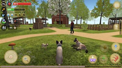 Download Cat Simulator : animal life kitty pet (Free Shopping MOD) for Android