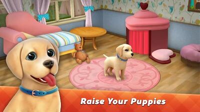 Download Dog Town: Pet Shop, Care Games (Unlimited Money MOD) for Android