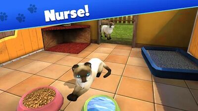 Download Pet World (Unlimited Money MOD) for Android