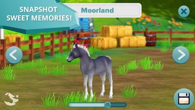 Download Star Stable Horses (Unlimited Coins MOD) for Android