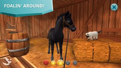 Download Star Stable Horses (Unlimited Coins MOD) for Android