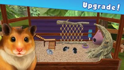 Download Pet Hotel – My animal pension (Free Shopping MOD) for Android