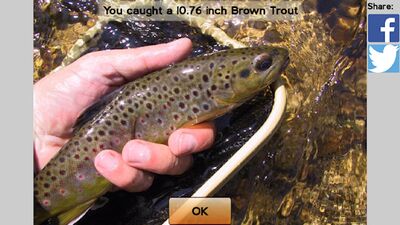 Download Fly Fishing Simulator HD (Unlocked All MOD) for Android