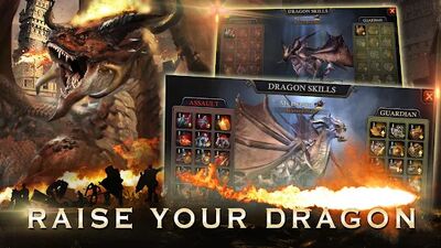 Download Dragon Reborn (Unlocked All MOD) for Android