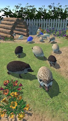 Download Hedgehog Friends (Unlocked All MOD) for Android