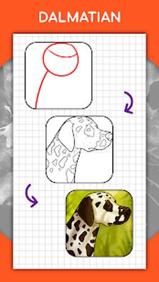 Download How to draw animals. Step by step drawing lessons (Free Ad MOD) for Android